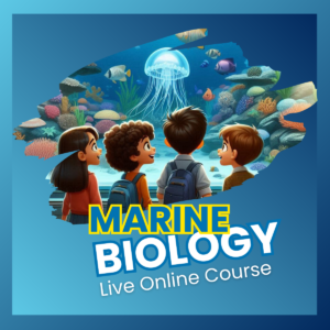 Marine Biology Online Course