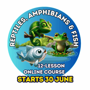 Reptiles, Amphibians & Fish Online Course