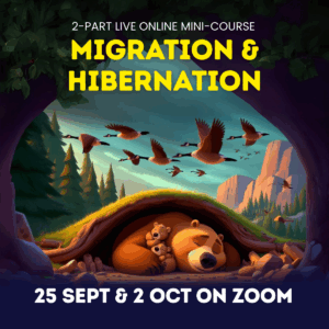 Migration & Hibernation