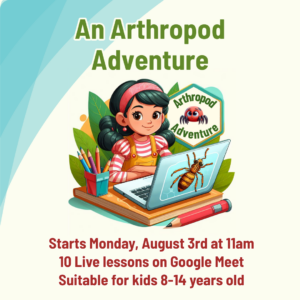 Arthropod Adventure Aug 2026